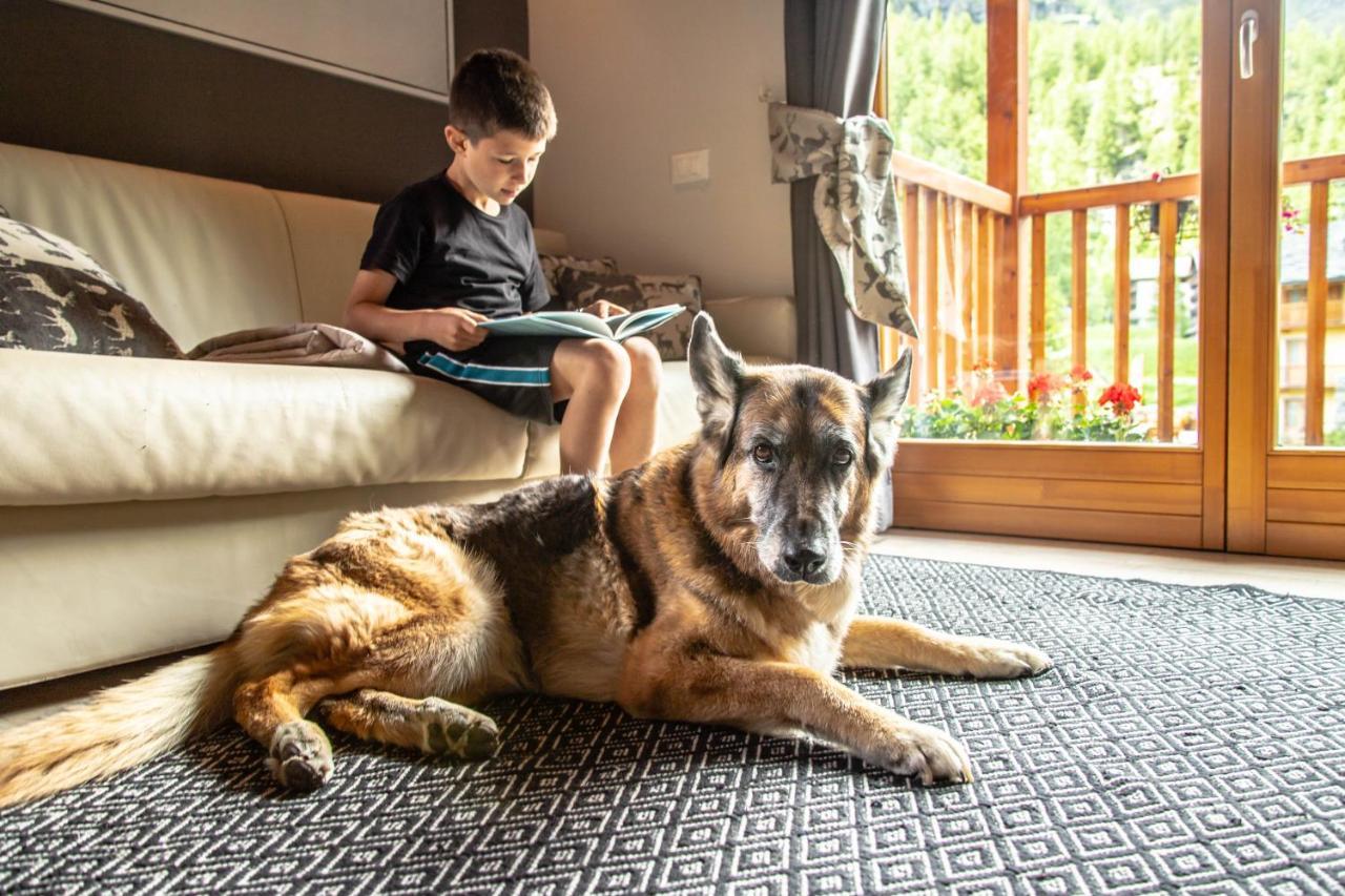Alta Luce Mountain Lodge Gressoney-la-Trinité Esterno foto