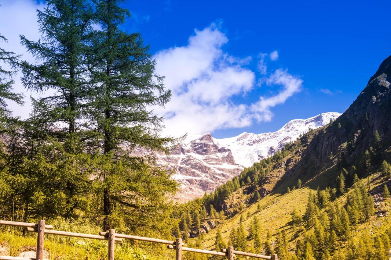 Alta Luce Mountain Lodge Gressoney-la-Trinité Esterno foto