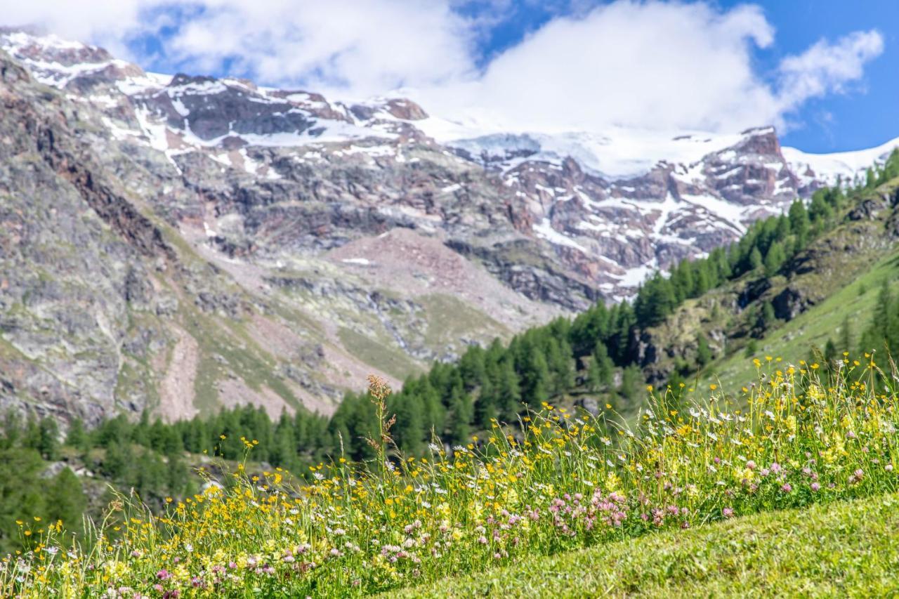 Alta Luce Mountain Lodge Gressoney-la-Trinité Esterno foto